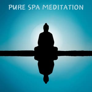 Pure Spa Meditation - Spa Music & Meditation Collective