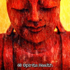 68 Spirits Health - The Yoga Mantra and Chant Music Project