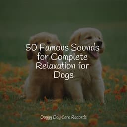 50 Famous Sounds for Complete Relaxation for Dogs - Music For Dogs