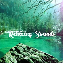 Relaxing Sounds - Instrumentals Hip Hop, Rap Beats - Estudiante Solitario