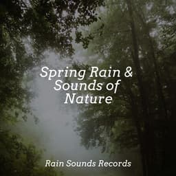 Spring Rain & Sounds of Nature - Smart Baby Lullaby