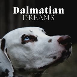 Dalmatian Dreams - Dog Relaxation
