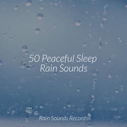 50 Peaceful Sleep Rain Sounds - Meeresrauschen