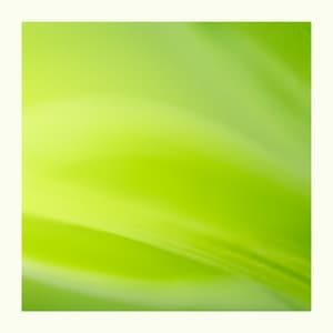 Best Green Noise For Sleep Or Focus - Dream Supplier