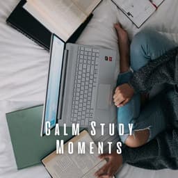 Calm Study Moments: Lofi Ambience for Deep Learning - Lofi For Study
