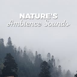 Nature's Ambience Sounds - Ambient Nature Sounds