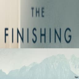 The FINISHING - Viper