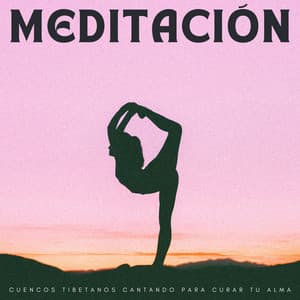 Meditación: Cuencos Tibetanos Cantando Para Curar Tu Alma - Silenciador de Ruido