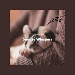 Snoozy Whispers - Dog Relaxation Music