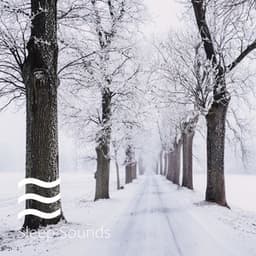 Womb Sounds Cradle Winter Collection - Womb Sounds Heartbeat