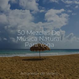 50 Mezclas De Música Natural Para Yoga - Ambiente