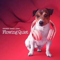 Flowing Quiet - Sounds Dogs Love