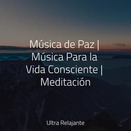 Música de Paz | Música Para la Vida Consciente | Meditación - Musica Para Relajarse