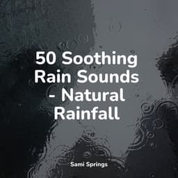 50 Soothing Rain Sounds - Natural Rainfall - Sounds of Nature Relaxation