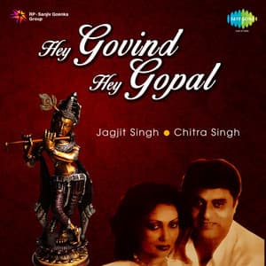 Hey Govind Hey Gopal - Chitra Singh