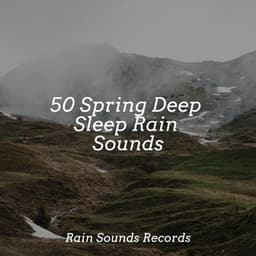 50 Spring Deep Sleep Rain Sounds - Lucid Dreaming Music