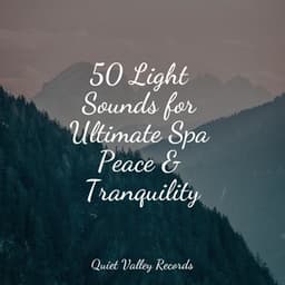 50 Light Sounds for Ultimate Spa Peace & Tranquility - Soothing Baby Music