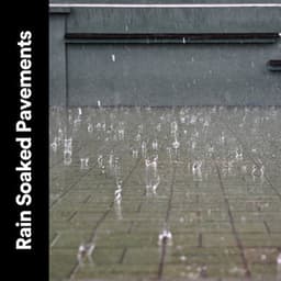 Rain Soaked Pavements - Rain Meditations