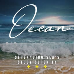 Tranquil Sea Study Sessions: Binaural Cognitive Flow - Waves Hard