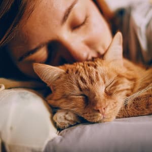 Melodías Suaves Para La Serenidad De Los Gatos - La red acordes