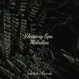Sleeping Spa Melodies - Study Music & Sounds