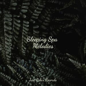 Sleeping Spa Melodies - Study Music & Sounds