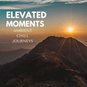 Elevated Moments: Ambient Chill Journeys - Soft Elevator Music