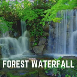 Forest Waterfall - Waterfall Sounds