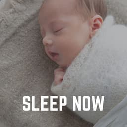 Sleep Now - Nursery Rhymes