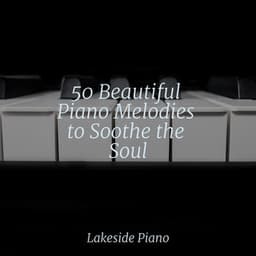 50 Beautiful Piano Melodies to Soothe the Soul - SD