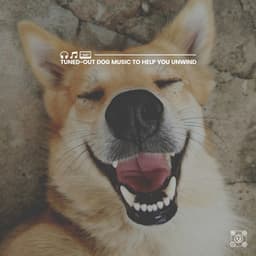 Tuned-Out Dog Music to Help You Unwind - Dog Sleep Academy