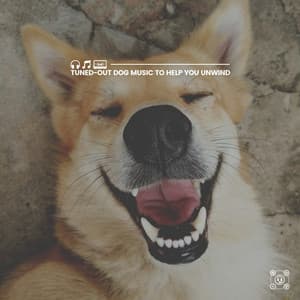 Tuned-Out Dog Music to Help You Unwind - Dog Sleep Academy