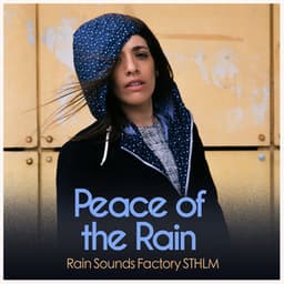 Peace of the Rain - Rain Sounds Factory STHLM