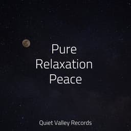 Pure Relaxation Peace - Rain Storm Sample Library