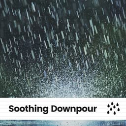 Soothing Downpour - Rain Radiance