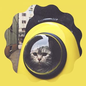 Music for Cutest Kittens - Trumpet and Alto Sax - Cat Music Studio