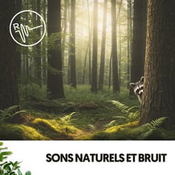 Sons Naturels et Bruit : Ondes Naturelles - lofi.dealer