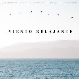 Alas Celestiales: Un Viento Relajante Y Una Noche Lluviosa De Relajación - La lluvia es mi vida