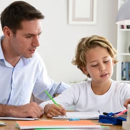 Serene Lofi Academia: Harmonic Study and Learning Journeys - Lofi Vibes