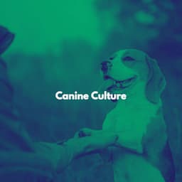 Canine Culture - Evening Jazz Bgm