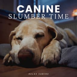 Canine Slumber Time - Calm Dog Music