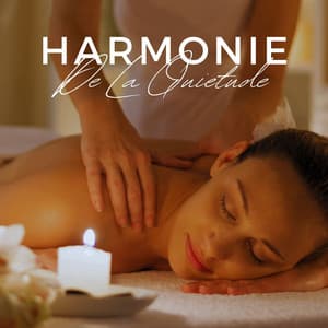 Harmonie De La Quiétude: Musique De Spa Relaxante - Musique Zen Garden