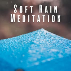 Soft Rain Meditation - Ambient Nature project