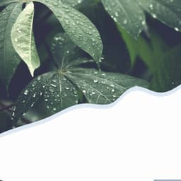 High-class Backdrop for Rejuvenating Seasons - Jazz for Working Playlist