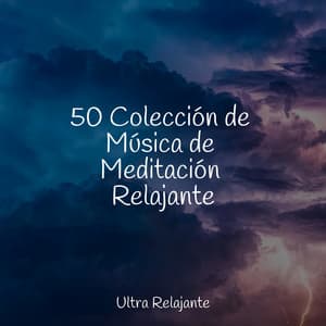 50 Colección de Música de Meditación Relajante - El hada de las canciones de cuna