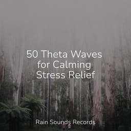 50 Theta Waves for Calming Stress Relief - Relajacion Del Mar