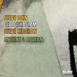 Ancient & Modern - Steve Cohn