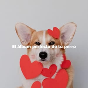 El álbum perfecto de tu perro - Happy Instrumental Jazz