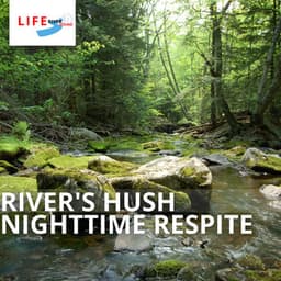 River's Hush: Nighttime Respite - Life River Sound