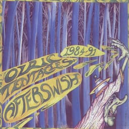 Afterswish - Ozric Tentacles